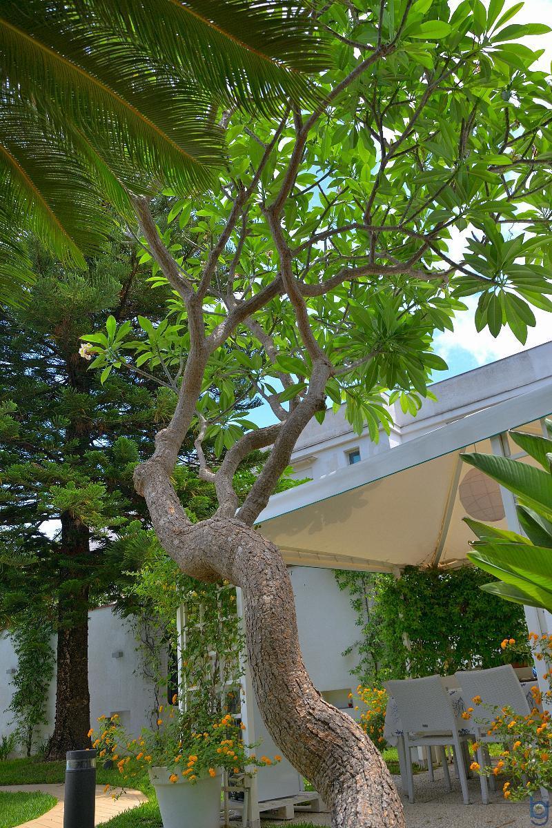 B&B Mondello Resort Екстериор снимка